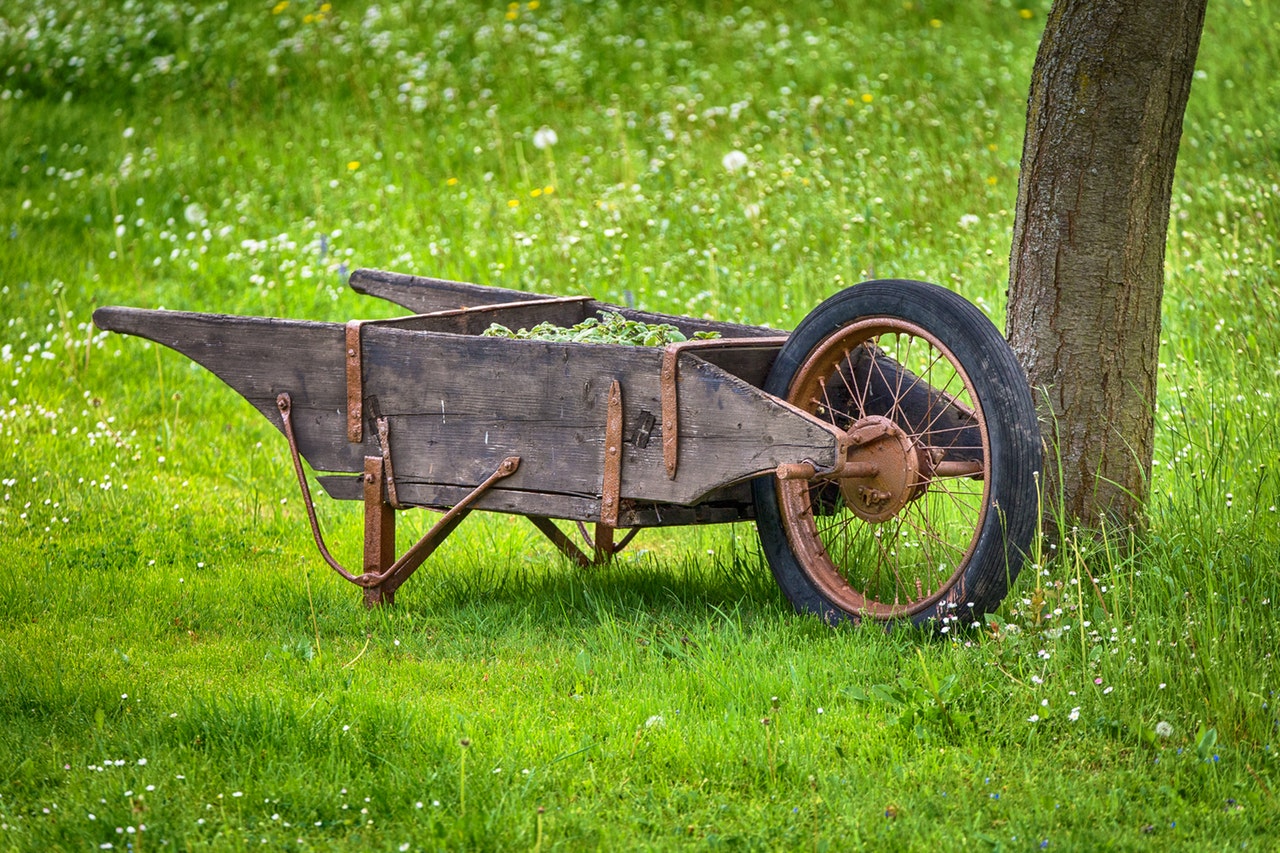 Vegetables in the wheel cart